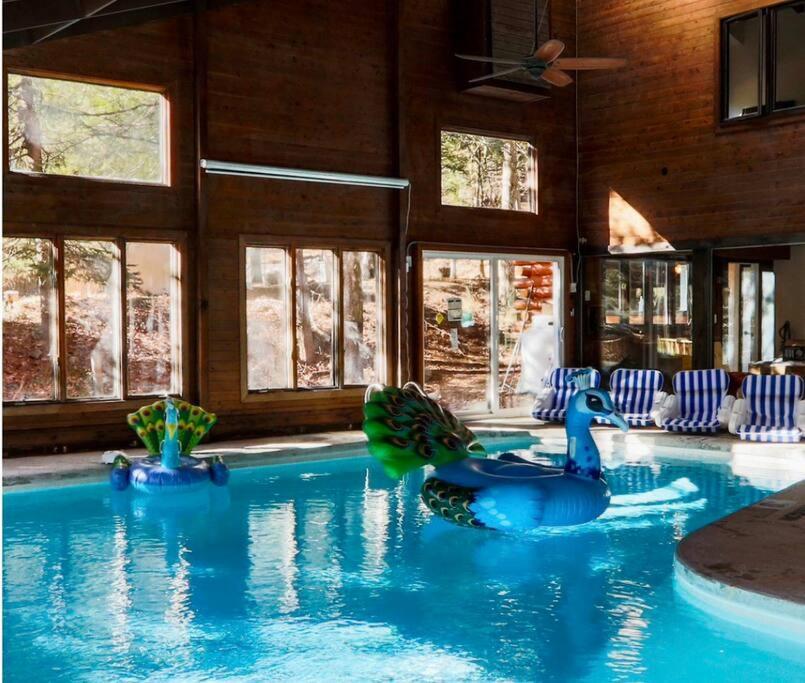 Poconos Pool Paradise